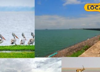 Telangana Tourism: केरल नहीं, तेलंगाना में है बैकवाटर का स्वर्ग! 200 किमी दूर छिपा है हैदराबाद का सीक्रेट पैराडाइज
