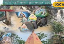 Video: देखा है रानी शिरोमणि की कुर्बानी वाला झरना? बारिश में बनता अद्भुत दुर्लभ नजारा, अनूठी कहानी – Chhattisgarh News