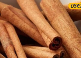 Kitchen hacks: आपकी रसोई में मौजूद ये 6 चीजें हैं रामबाण, हर बीमारियों का प्राकृतिक इलाज; बस जान लें सेवन का तरीका – Uttar Pradesh News