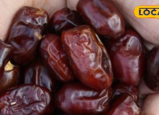 चुटकियों में खून बढ़ाएगी ये ट्रिक, सुबह उठते ही खा लें 2 पीस, बॉडी में आ जाएगी घोड़े जैसी ताकत – Uttarakhand News