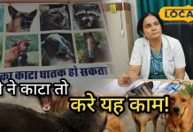 Dog Bite Safety: डॉग बाइट में न करें ये गलतियां, वरना बढ़ सकता है खतरा, 6 घंटे के अंदर ही…