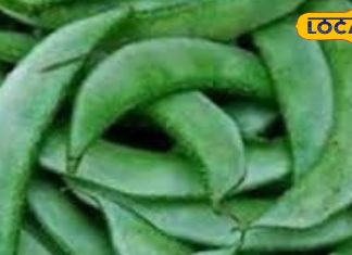 सिर्फ 10 दिन में मोटापा हो जाएगा छूमंतर, ढोलक जैसा पेट हो जाएगा अंदर, बस कर लें इस सब्जी का सेवन – Uttar Pradesh News