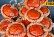 Food Story: Seeing this special dessert of two colors, water will also come in your mouth! Taste tremendous according to 15 rupees piece . – Uttar Pradesh News