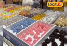 गणेश चतुर्थी 2025: ब्लूबेरी से पान तक, जानिए इस बार के सबसे ट्रेंडी मोदक वैरायटीज