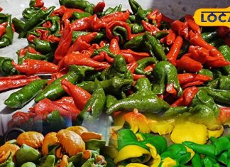 दिखने में हरी-लाल मिर्च, लेकिन स्वाद में मीठी, सिर्फ दिवाली पर मिलती है करौली की मशहूर मिर्ची मिठाई