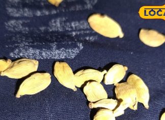 स्वाद भी बढ़ाए और बीमारियों से बचाए, यह छोटी सी चीज़ कैसे करती है कमाल? जानें इसके फायदे – Uttarakhand News