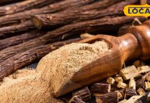 इसका एक टुकड़ा सेहत की ताबीज, वायरल फ्लू से लेकर एसिडिटी तक में रामबाण, उखाड़ फेंकेगा रोगों की जड़ – Uttarakhand News