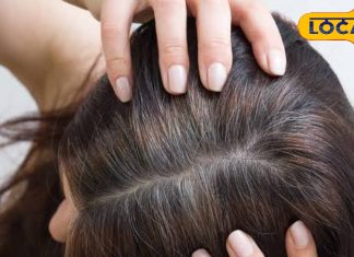 पतले बालों को बनाएं घना और मजबूत, बस अपनाएं ये अचूक उपाय, एक्सपर्ट से जानें सबकुछ