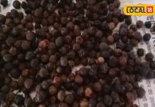 Kali Mirch Ke Fayde: काली मिर्च का सेवन करें, कई बीमारियां दूर होंगी, जानिए डॉक्टर से ये लाभ