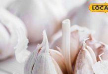 रोज सुबह खाली पेट पियें लहसुन का पानी, इन रोगों में है बेहद फायदेमंद, डॉक्टर से जानें सबकुछ