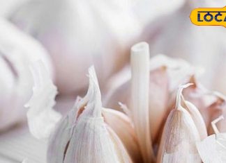 रोज सुबह खाली पेट पियें लहसुन का पानी, इन रोगों में है बेहद फायदेमंद, डॉक्टर से जानें सबकुछ