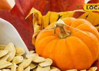 Health Tips: सेहत और शक्ति का भंडार हैं ये बीज, जान लें इस्तेमाल का सही तरीका