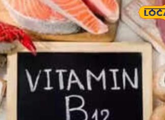 वेज वालों के लिए विटामिन B12 का सबसे अच्छा ऑप्शन, खानी होगी ये स्पेशल दाल