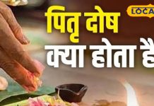Pitru Paksha 2025 | Pitru Dosh Upay | Today horoscope| Madhya Pradesh News