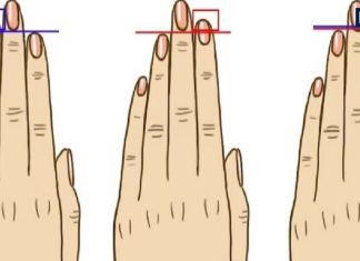 Ring Finger Palmistry : रिंग फिंगर का आकार और बनावट बताती है कैसे इंसान हैं आप! जानें भविष्य में आएगा पैसा या रहेगी हालत खराब