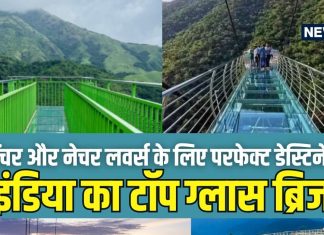 Glass Bridge In India: कांच के ये 6 ब्रिज, जिन पर चलना जैसे हवा में टहलना! खूबसूरती ऐसी कि थम जाए दिल, जरूर जाएं!