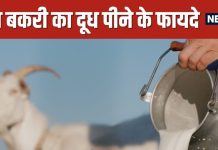 Goat Milk Benefits for Health | बकरी का दूध पीने के जबरदस्त फायदे