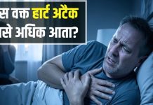 सुबह, दोपहर या शाम… हार्ट अटैक सबसे ज्यादा किस वक्त आता है? बीमारी और समय का क्या है लॉजिक, जानिए बचाव टिप्स