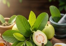 Guava Leaves Benefits Amrood Ke Patte Ke Fayde | अमरूद के पत्तों के जबरदस्त फायदे