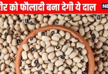 Lobia Dal Health Benefits । लोबिया दाल शरीर को बना देगी फौलादी, वजन घटाए, जानें फायदे