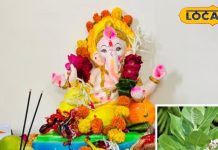 गणपति बप्पा को करना है खुश? इस फूल को जरूर करें अर्पित, नहीं तो अधूरी रह जाएगी पूजा
