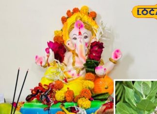 गणपति बप्पा को करना है खुश? इस फूल को जरूर करें अर्पित, नहीं तो अधूरी रह जाएगी पूजा