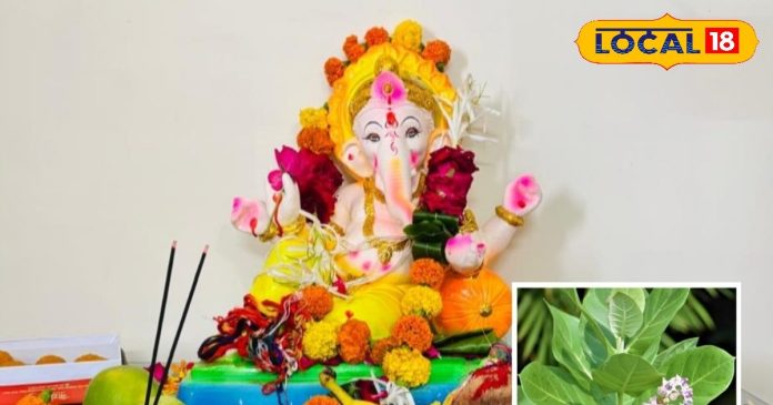 गणपति बप्पा को करना है खुश? इस फूल को जरूर