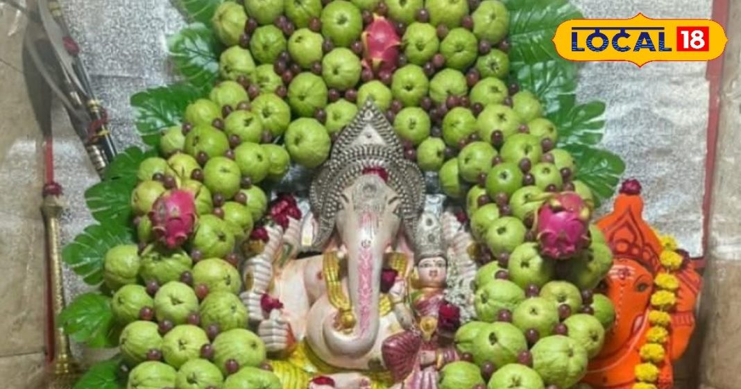 घर के दक्षिण-पूर्व दिशा में लगा लें यह फलदार पौधा, गणपति बप्पा की बरसेगी कृपा, आर्थिक तंगी हो जाएगी दूर