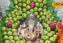 घर के दक्षिण-पूर्व दिशा में लगा लें यह फलदार पौधा, गणपति बप्पा की बरसेगी कृपा, आर्थिक तंगी हो जाएगी दूर