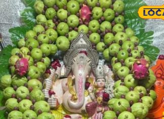 घर के दक्षिण-पूर्व दिशा में लगा लें यह फलदार पौधा, गणपति बप्पा की बरसेगी कृपा, आर्थिक तंगी हो जाएगी दूर