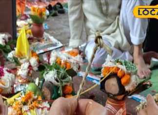 बिना पैसों के करना है पूर्वजों का श्राद्ध, शास्त्रों में बताई गई है जबरदस्त ट्रिक, पितृ प्रसन्न होकर लौट जाएंगे अपने लोक