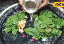 4 या 5 अक्टूबर.. कब रखा जाएगा अश्विन माह का अंतिम प्रदोष व्रत, करें यह उपाय, शनि दोष से मिलेगा छुटकारा