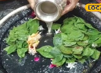 4 या 5 अक्टूबर.. कब रखा जाएगा अश्विन माह का अंतिम प्रदोष व्रत, करें यह उपाय, शनि दोष से मिलेगा छुटकारा