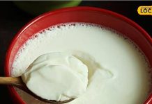 Tips and Tricks: आप भी जान लीजिए दही जमाने की निंजा टेक्निक, रातभर में बनेगा बाजार जैसा थक्केदार, एक बार जरूर करें ट्राई
