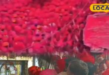 6000 लीटर दूध-दही से भव्य अभिषेक… चारभुजा मंदिर में उमड़ा आस्था का सैलाब, ठाकुरजी का सोने के बेवाण से सरोवर स्नान!