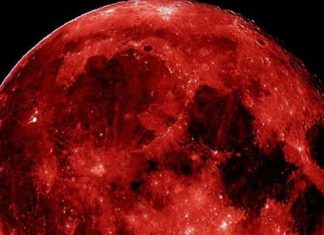 Chandra Grahan | Astrologer anirudh kumar mishra Prediction: थोड़ी देर बाद चंद्रग्रहण… एस्ट्रोलॉजर अनिरुद्ध की भविष्यवाणी