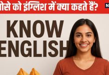 samosa jalebi ka english name| General Knowledge| GK Trending Quiz| Know English: समोसा, जलेबी, कचौड़ी और पानीपुरी को इंग्लिश में क्या कहते हैं?