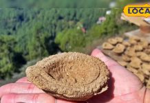 Diwali 2025: गोबर में होता है लक्ष्मी का वास! दिवाली पर इस तरह जलाएं इसका खास दीपक, घर में आएगी खुशहाली