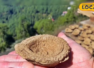 Diwali 2025: गोबर में होता है लक्ष्मी का वास! दिवाली पर इस तरह जलाएं इसका खास दीपक, घर में आएगी खुशहाली