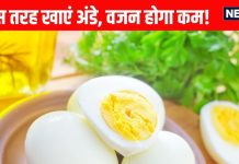 Eggs for Weight Loss how to eat: क्या अंडे खाने से वजन घटता है? जानें सेवन का सही तरीका
