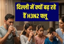 H3N3 Flu in Delhi-NCR | दिल्ली-एनसीआर में तेजी से फैल रहा H3N2 फ्लू: लक्षण, कारण, इलाज