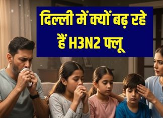H3N3 Flu in Delhi-NCR | दिल्ली-एनसीआर में तेजी से फैल रहा H3N2 फ्लू: लक्षण, कारण, इलाज