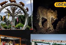 Hyderabad Zoo Park: हैदराबाद का नया नज़ारा…नाइट सफारी में मिलेगा अनोखा एहसास, जंगलों में गूंजेगी दहाड़