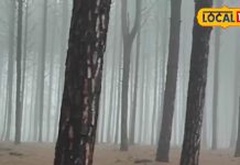 झारखंड का ये हिलस्टेशन बरसात में किसी स्वर्ग से कम नहीं, जमीन आसमान हो जाते है एक, रेंगते दिखते हैं बादल – Jharkhand News