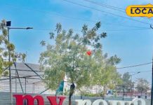 टाइगर सफारी, वाटरफॉल और इतिहास… रीवा घूमने का बना रहे हैं प्लान? ये बजट है आपके लिए सही – Madhya Pradesh News