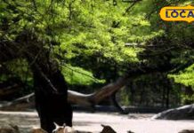 Best Picnic Spot: दिल्ली में सिर्फ इंडिया गेट नहीं, ये 6 जगहें भी हैं फैमिली आउटिंग के लिए परफेक्ट, देखें लिस्ट