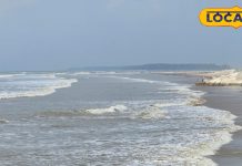 गोवा से काम नहीं है बिहार का ये नजदीकी समुद्री तट, सिर्फ 5 घंटे में पहुंच सकते हैं यहां, देखें Photos