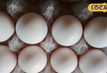 कमज़ोरी, थकान और बाल झड़ने की समस्या? जानें इस सुपरफूड के फायदे, बच्चों से लेकर बुजुर्गों तक फायदेमंद – Uttar Pradesh News