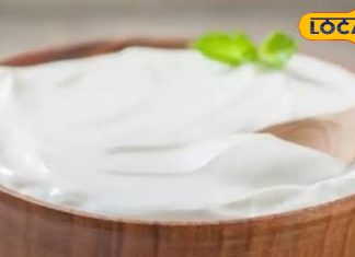 आप भी खाते हैं रोजाना दही, तो जान लें सेवन का सही तरीका, वरना फायदे की जगह हो सकता है नुकसान – Uttar Pradesh News