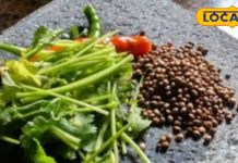 त्योहार हो या पारिवारिक भोज, इस चटनी के बिना सब अधूरा लगता है, जानें क्या बनाता है इसे खास और अलग – Uttarakhand News